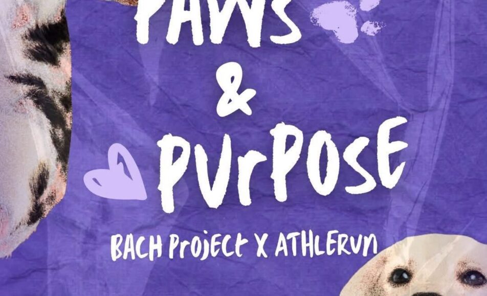 Bacolod Pet Adoption Drive at The Upper East Pet Park on August 9 2026 with adoption vaccination and Pawtection Run registration