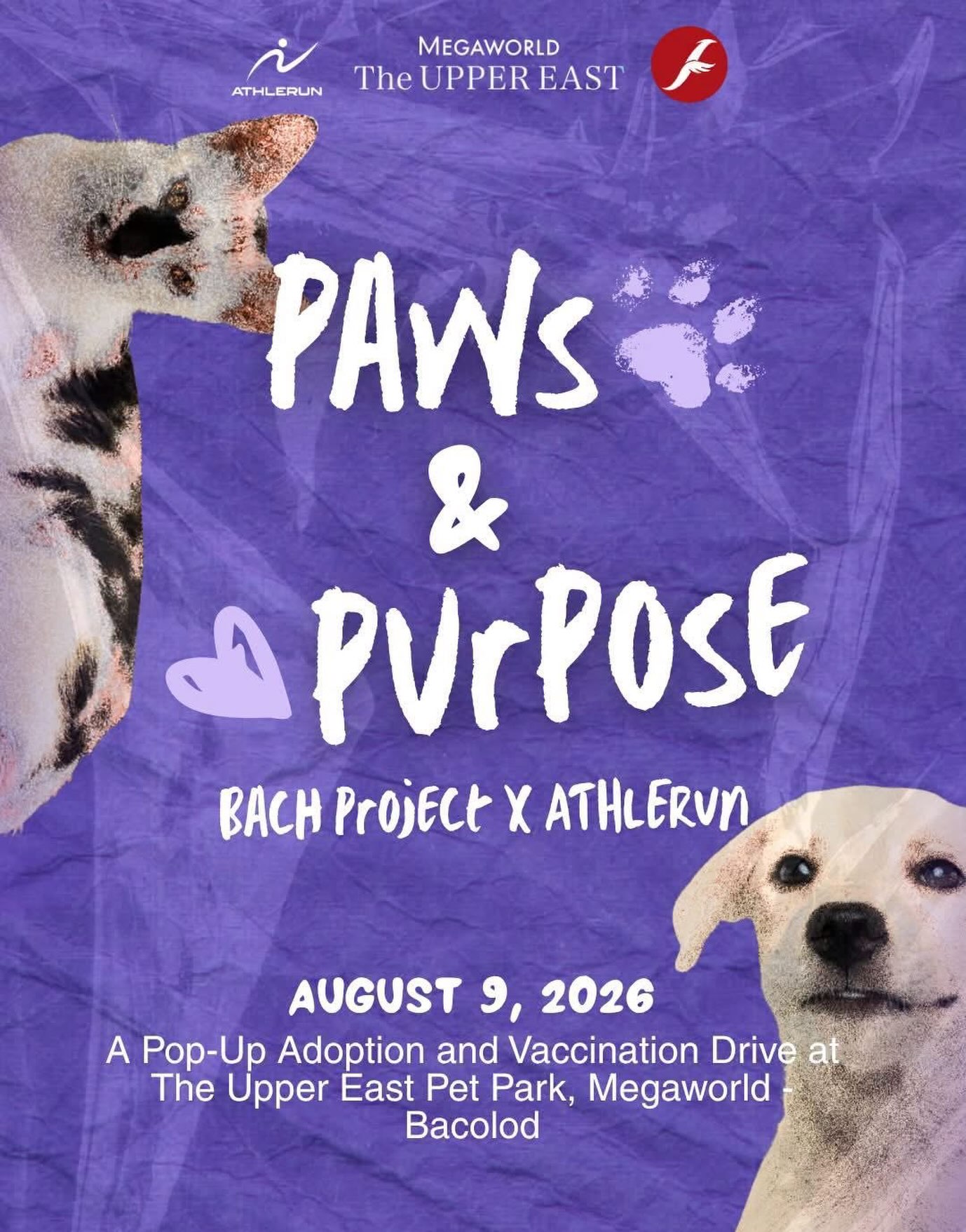 Bacolod Pet Adoption Drive at The Upper East Pet Park on August 9 2026 with adoption vaccination and Pawtection Run registration